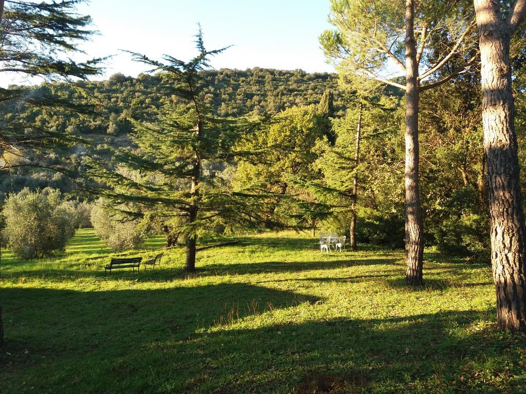 Podere San Michele Campiglia Marittima Eksteriør bilde